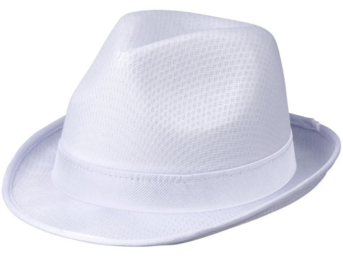 Лента для шляпы Trilby, белый
