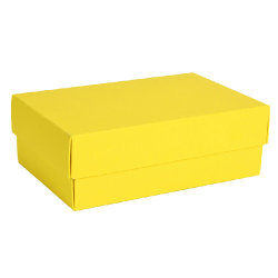 Коробка картонная, "COLOR" 11,5*6*17 см; желтый (желтый)