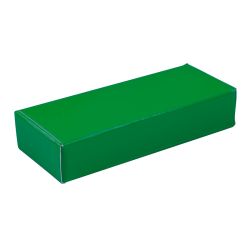 Подарочная коробка для флешки HALMER (зеленый)